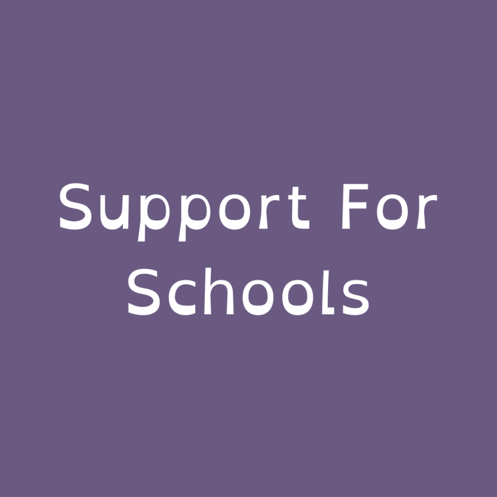 Support for Schools